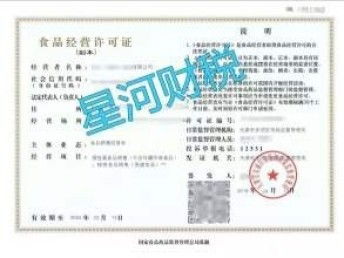 图 代理记账公司 现有情况你了解吗 天津工商注册